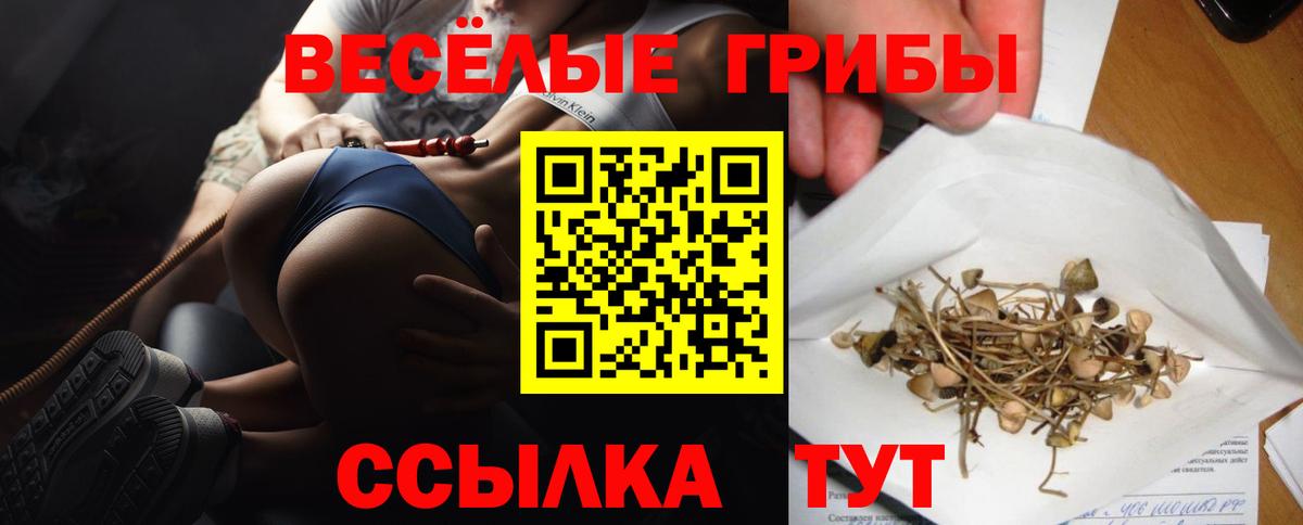 Псилоцибиновые грибы мицелий  Вход с VPN  Челябинск  Псилоцибиновые грибы прущие грибы 
